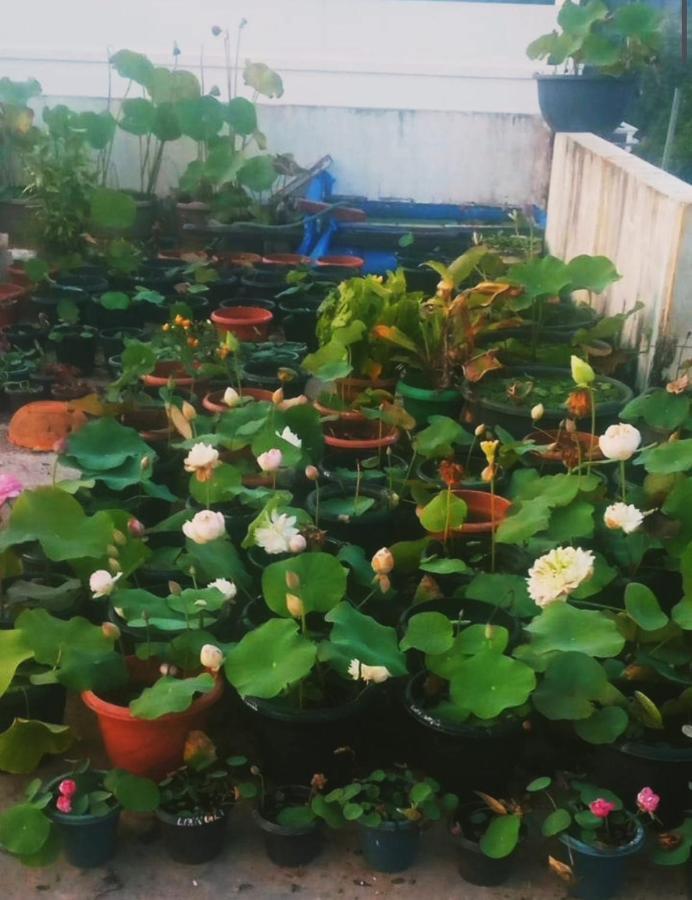 Raelyn'S Homestay Kochi Dış mekan fotoğraf