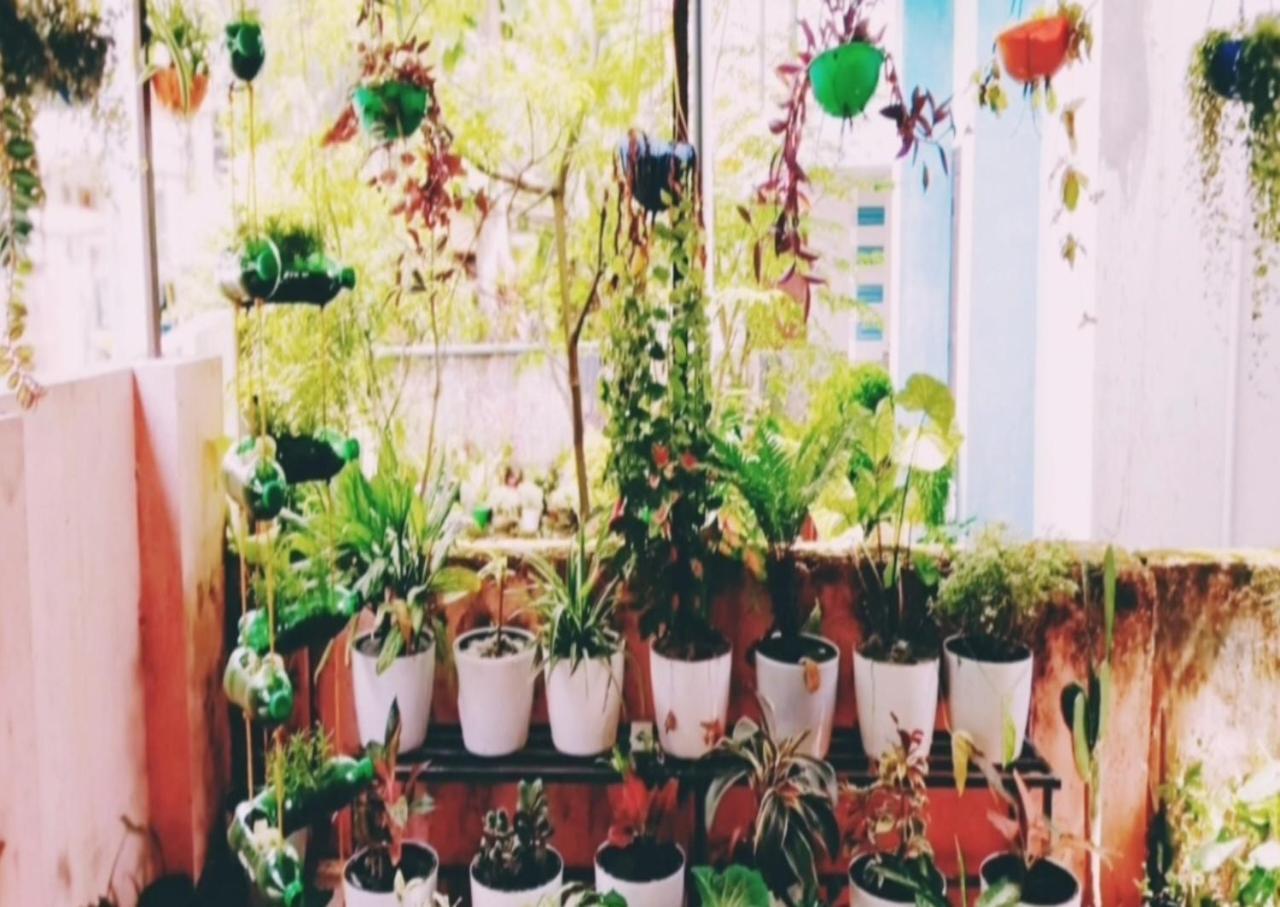 Raelyn'S Homestay Kochi Dış mekan fotoğraf