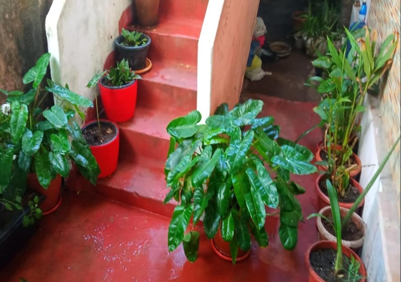 Raelyn'S Homestay Kochi Dış mekan fotoğraf
