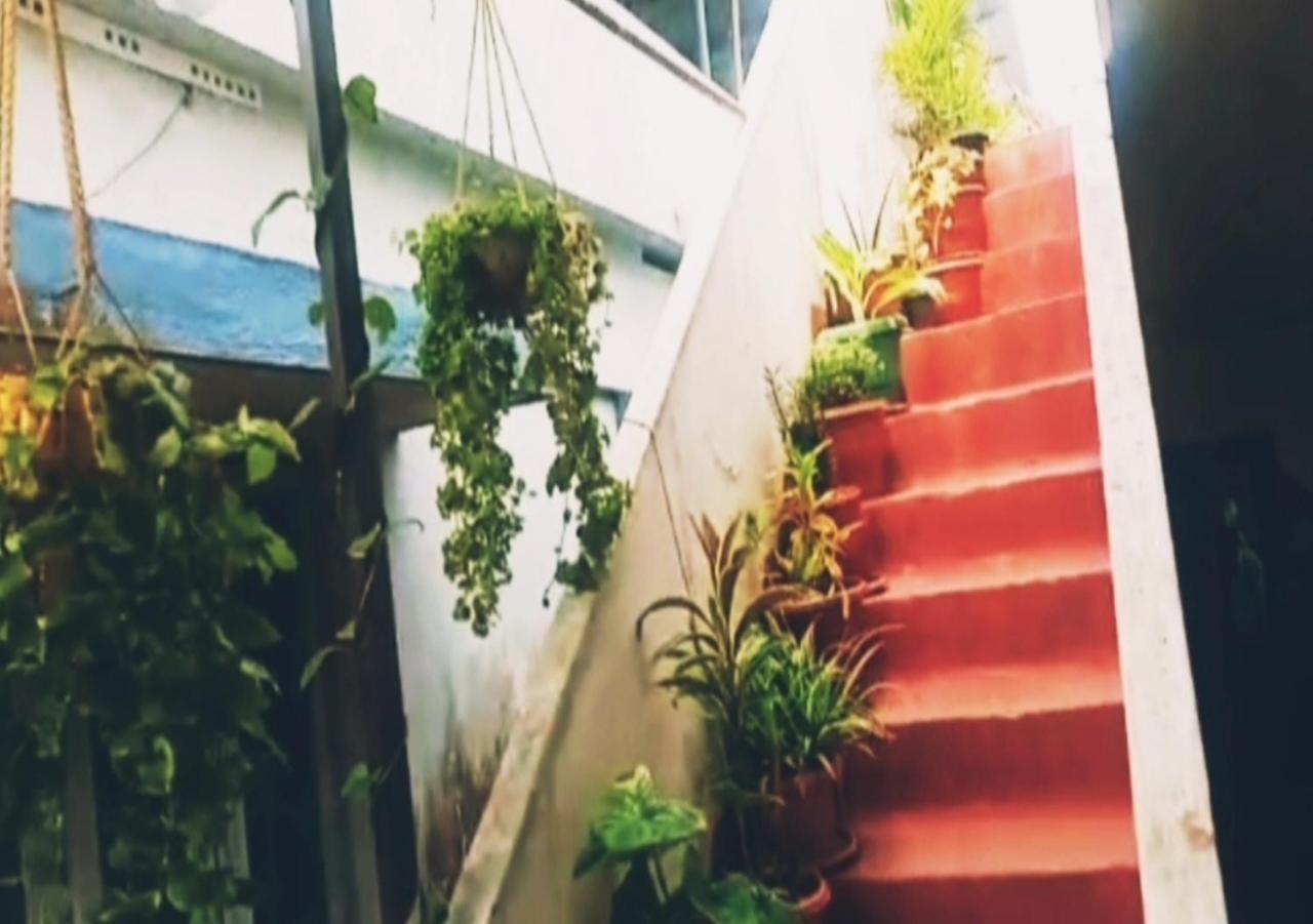 Raelyn'S Homestay Kochi Dış mekan fotoğraf